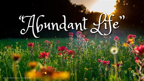 abundant life dreams|Abundant Life Dreamss YouTube Stats (Summary Profile)